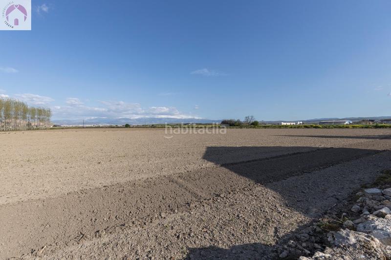 Foto 40ded94d-6e36-4b1d-8b88-0ee9f0320e55. Masía en diseminada en Pinos Puente