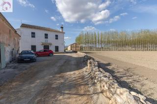 Masia  Diseminada