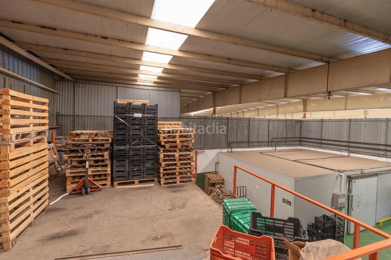 Foto 5e17832b-ce90-40ec-b092-d8637e7b589a. Industrial building in Almuñecar centro Almuñécar