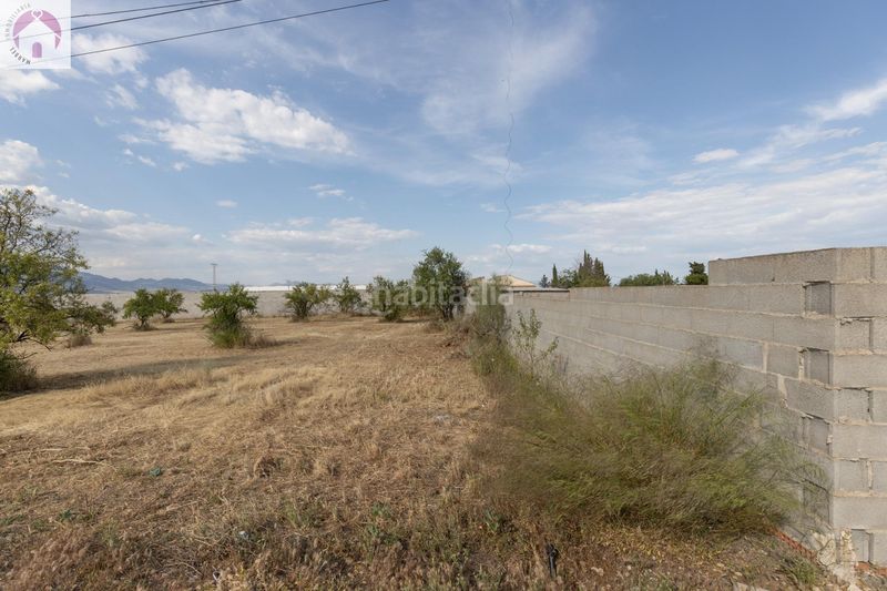 Foto 0f701aaa-1158-4612-ab6b-ef33ec0d3c25. Finca rústica a Moraleda de Zafayona