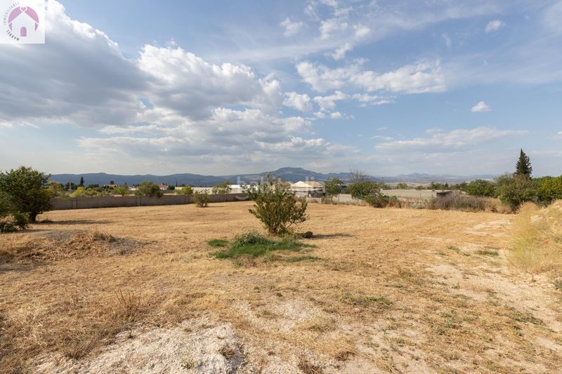 Foto 321d4868-5413-43a2-b1d0-f14853b1ade8. Finca rústica a Moraleda de Zafayona