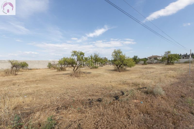 Foto 54c0f118-b9b5-4975-9446-0dd66a0d47bc. Finca rústica a Moraleda de Zafayona