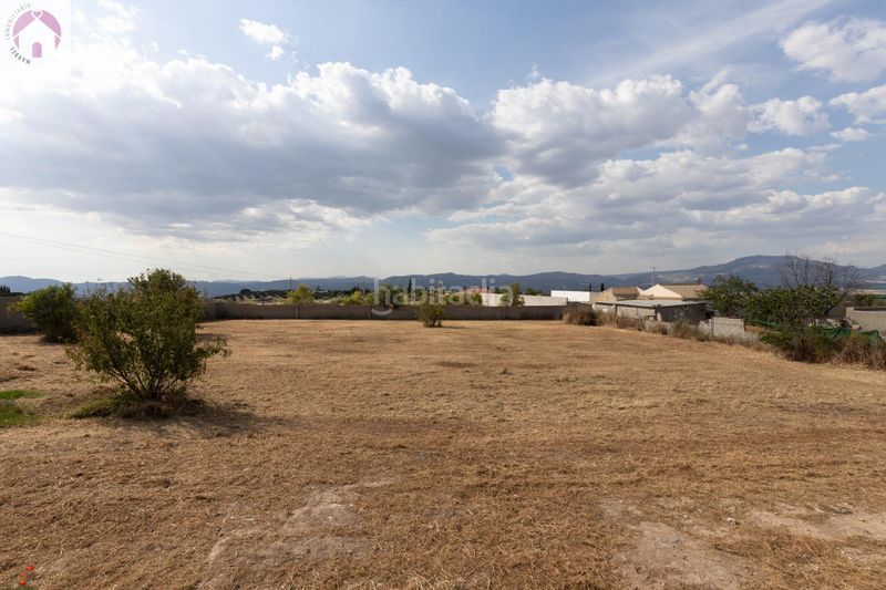 Foto daced8aa-bf3d-4456-b704-f610f697cabc. Finca rústica a Moraleda de Zafayona