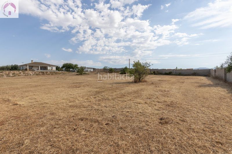 Foto f1b9a661-3266-491d-a995-2412d92a9f23. Finca rústica a Moraleda de Zafayona