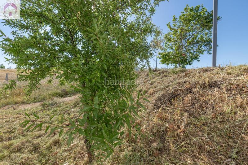 Foto 4e5249e6-1d1d-42ff-a011-d690058aac9f. Wohngrundstück in Gójar