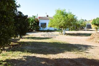 Mas à Gibraleón. Finca rustica con vivienda  parcela olivar en gibraleón