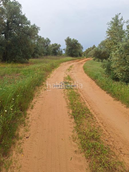 Foto e089843f-abb3-4dc9-8122-03cf6fd83eb0. Casa a Bollullos Par del Condado