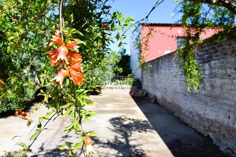 Foto cc7f6a3d-979d-4bdd-9620-50a34296d919. Casa a Granado (El)