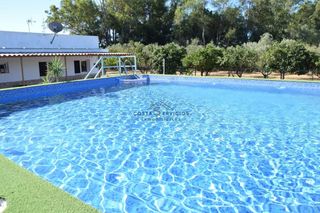 Bauernhof in Gibraleón. Finca con vivienda reformada y piscina
