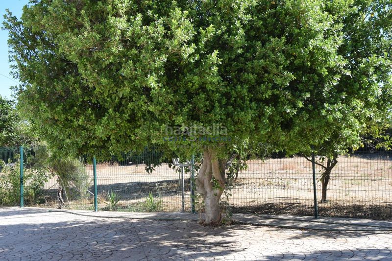 Foto 9fb0fd88-1fa9-4c45-bd0a-4aa31b133988. Masia amb aparcament piscina a Gibraleón