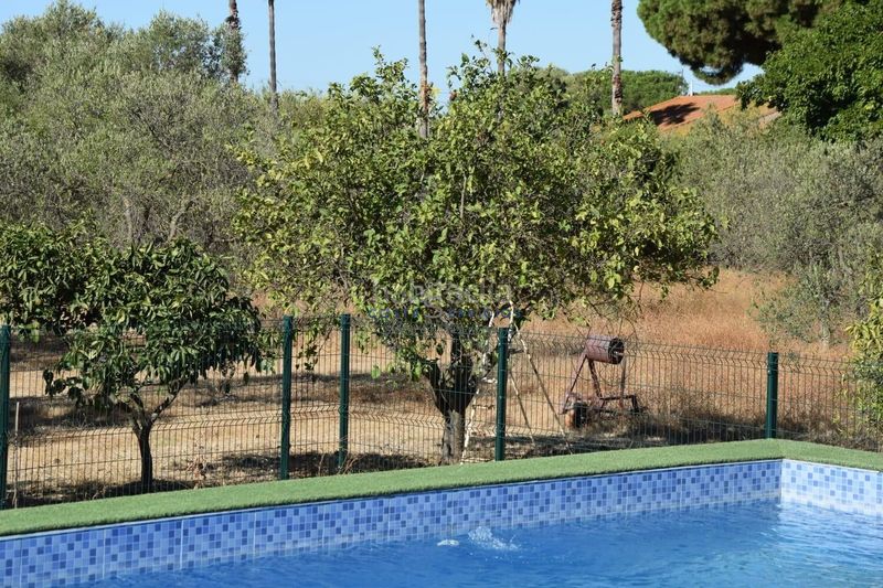 Foto ed115857-2150-4cbf-922d-aab6a3d7cf8c. Masia amb aparcament piscina a Gibraleón