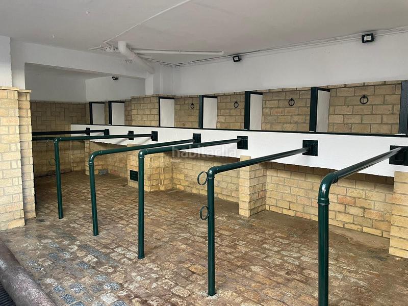 Foto 44b81e37-2ca1-4743-aadf-24c05d33c4d1. Rent house in El Rocío Almonte