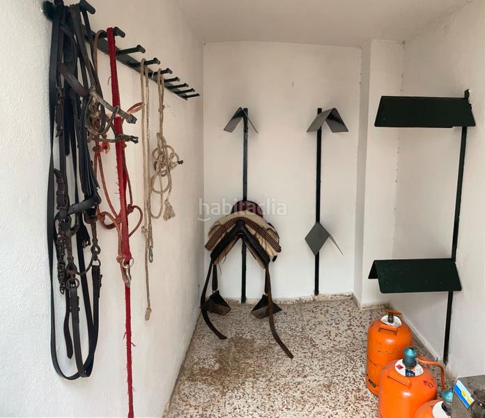 Foto 6c225875-d575-47db-b060-e7dc9d4a5696. Rent house in El Rocío Almonte