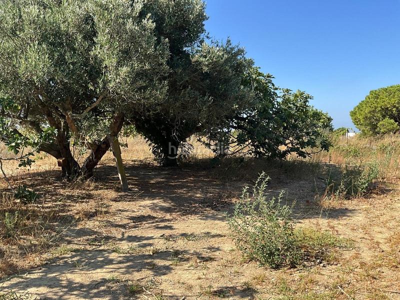 Foto 05395296-7938-4a86-91b1-9aa73fcff6c8. Maison avec parking dans Pelagatos - Pago del Humo Chiclana de la Frontera