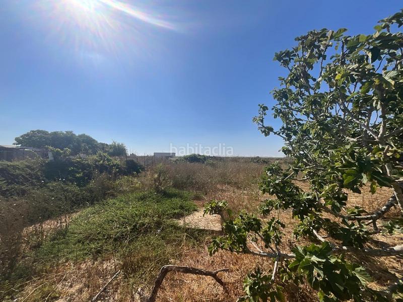 Foto 3e5033c9-c329-4a5e-b02a-ed89f23542e5. Maison avec parking dans Pelagatos - Pago del Humo Chiclana de la Frontera