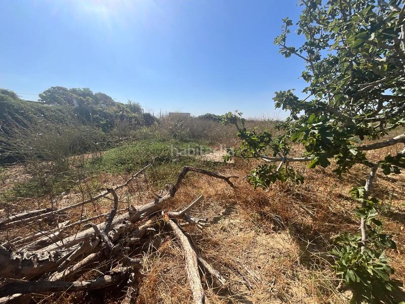 Foto 4147e715-efa1-41b1-8da2-97188b68a8ce. Maison avec parking dans Pelagatos - Pago del Humo Chiclana de la Frontera