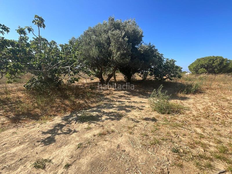 Foto 6052f5e6-3e24-4568-8cda-53db95993031. Maison avec parking dans Pelagatos - Pago del Humo Chiclana de la Frontera
