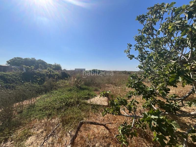 Foto 9dbd58af-91b4-4d99-a1ea-d28498d73a46. Maison avec parking dans Pelagatos - Pago del Humo Chiclana de la Frontera