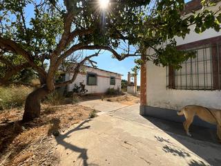 Maison  Travesía 11130. Si buscas tranquilidad, aquí la tienes