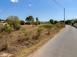 Finca rústica en Los Franceses - La Vega
