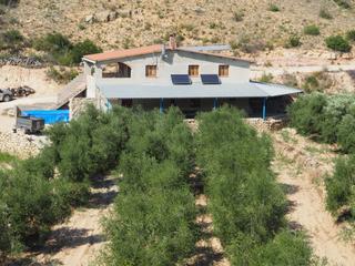 Masia a C-12 6. Finca rustica en flix con masia lista para entrar a vivir