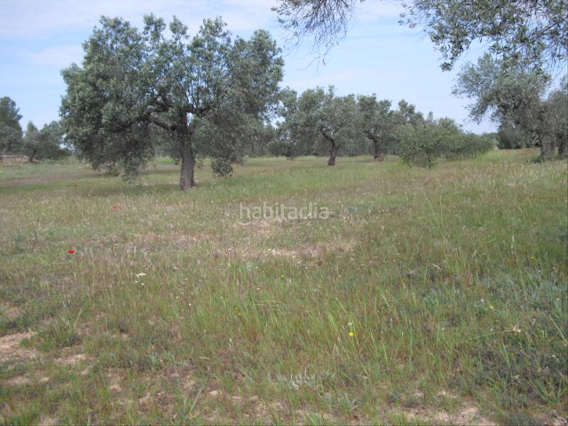 Foto 01c777b5-3018-44db-bca6-5936b1736bc5. Finca rústica a avinguda barcelona 5 a Flix