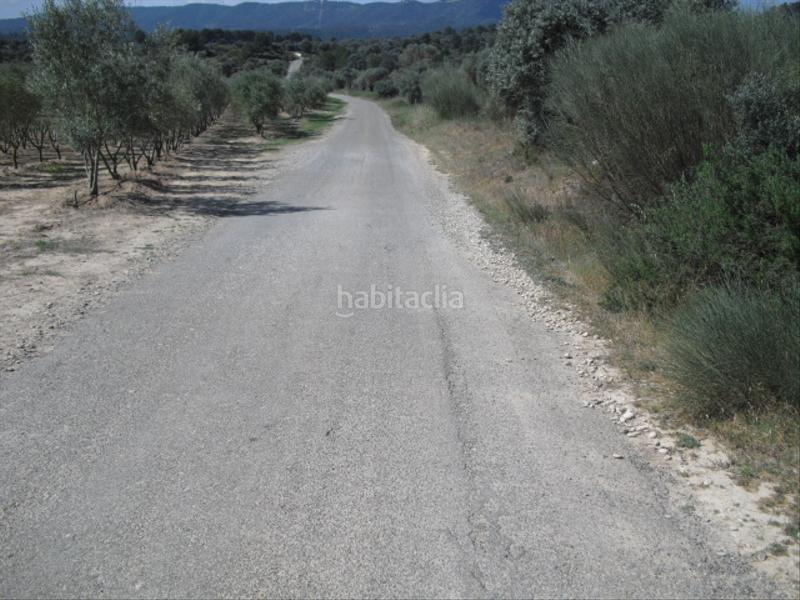 Foto 421a8c1c-106c-40c6-aba5-e69c8d0deee5. Finca rústica a avinguda barcelona 5 a Flix