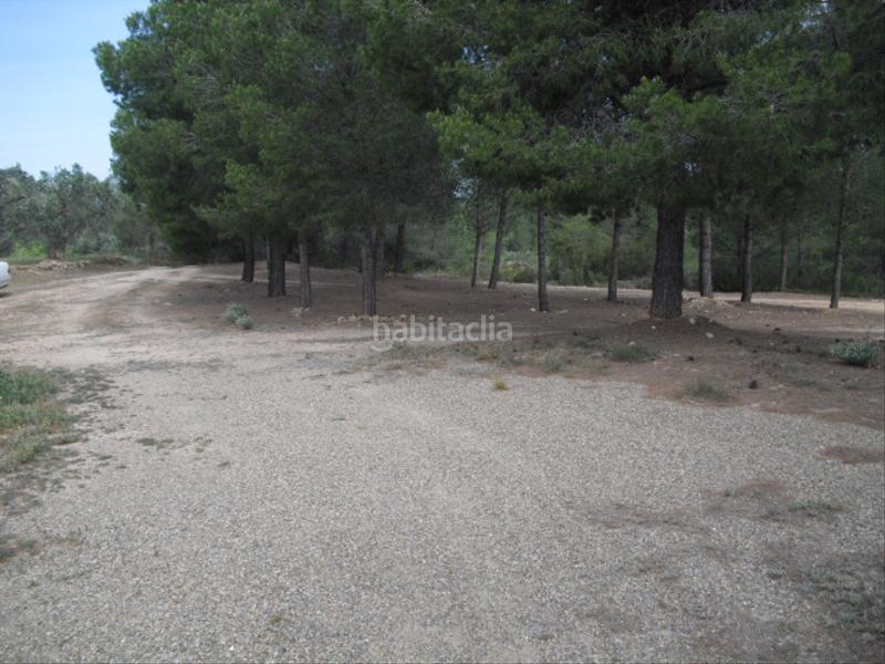 Foto 8426d011-3594-4895-8ed8-245af7511668. Finca rústica a avinguda barcelona 5 a Flix