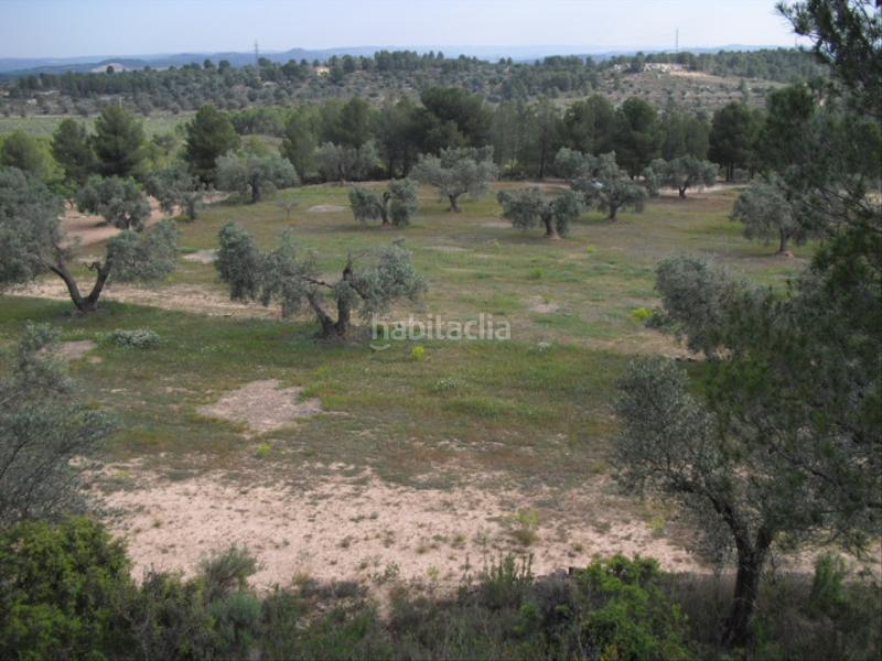 Foto a4368388-0011-4c0a-ac27-e8a6f2f9cd22. Finca rústica a avinguda barcelona 5 a Flix