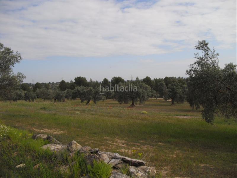 Foto ac704941-5310-4771-b04d-1c11b4aa8afc. Finca rústica a avinguda barcelona 5 a Flix