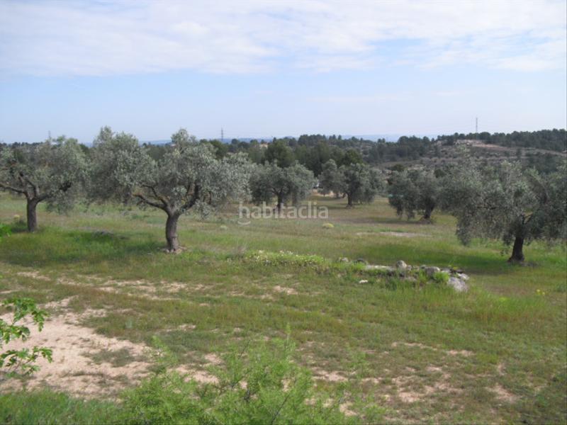 Foto b7842029-8faf-49d6-b344-3639eeaa6471. Finca rústica a avinguda barcelona 5 a Flix