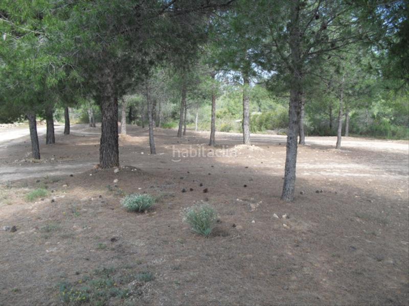 Foto bb2fe9d0-ac0b-47d5-b8f7-feada8611d47. Finca rústica a avinguda barcelona 5 a Flix