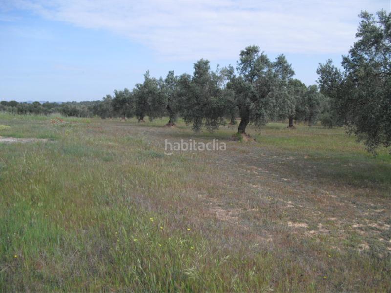 Foto e56c0975-48d5-4813-a169-3626038c3199. Finca rústica a avinguda barcelona 5 a Flix