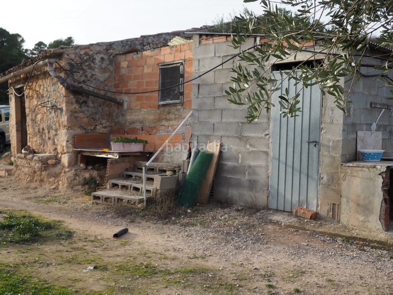 Foto c6a84734-48ac-4e0d-b3be-e3177be07aa9. Finca rústica a avinguda colònia 5 a Flix