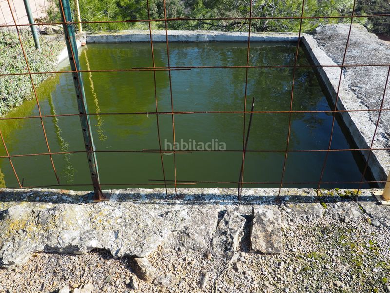 Foto 3a0e4a97-99b7-48e0-8405-b9f63968cea9. Finca rústica a avinguda colònia 5 a Flix