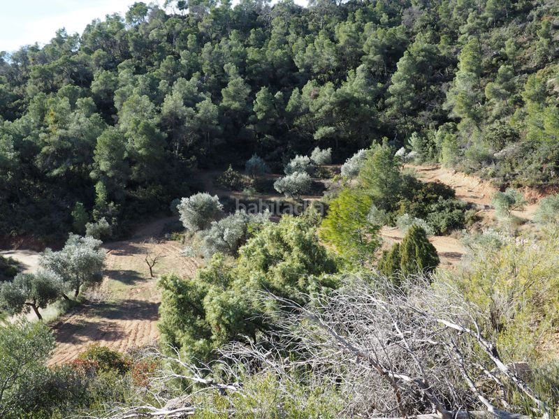 Foto 48d41428-ae62-4140-b137-23225b7e3a55. Finca rústica a avinguda colònia 5 a Flix