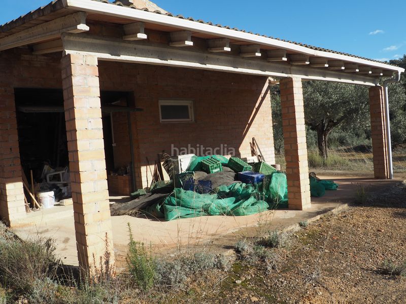 Foto c486461f-7625-40de-9055-782ccef59af1. Finca rústica a avinguda colònia 5 a Flix