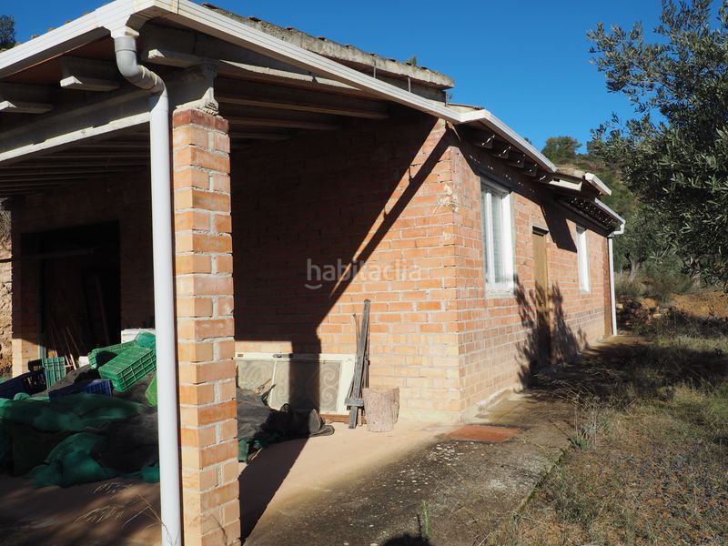 Foto d65b8ae3-e7ac-413a-a0f1-5df6df58dd6c. Finca rústica a avinguda colònia 5 a Flix