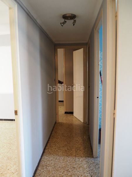 Foto b41bb16a-4846-4519-b031-cdb7a67eb6a1. Pis a Flix
