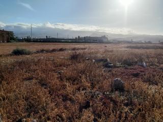 Finca rústica  Avenida de la paz. Finca rústica en telde