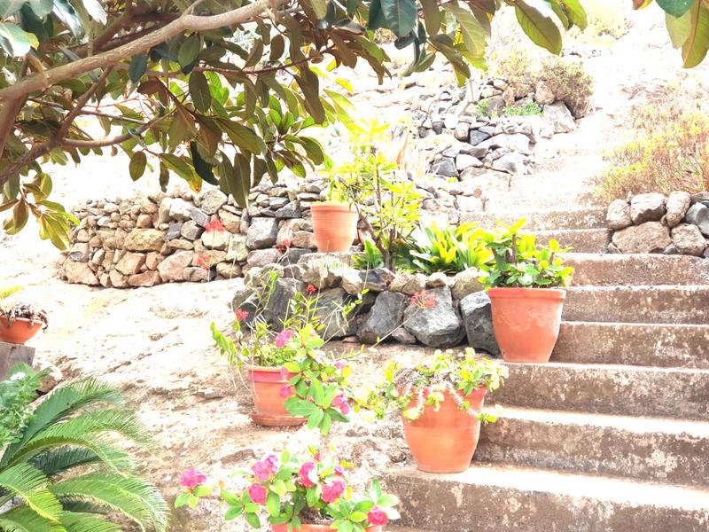 Foto 0198943d-f837-4f9a-bd90-8aae11cc72be. Bauernhof mit parking in San Lorenzo Palmas de Gran Canaria (Las)