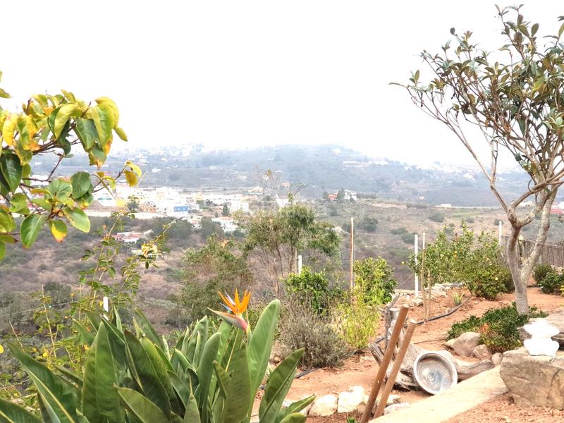 Foto 1c20ef3a-3da8-4169-bf99-b87694fff6cd. Bauernhof mit parking in San Lorenzo Palmas de Gran Canaria (Las)