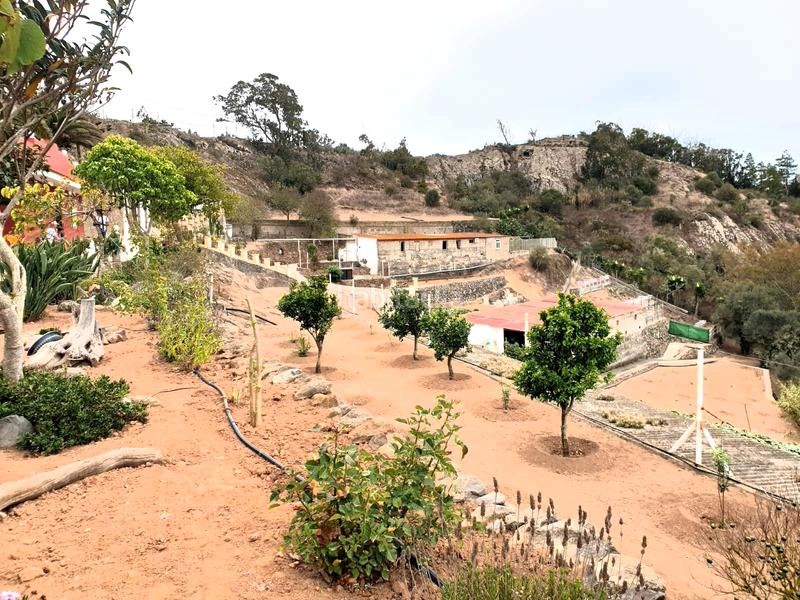 Foto 50b9bc91-e068-4f54-84ec-6c8cacf9d83f. Bauernhof mit parking in San Lorenzo Palmas de Gran Canaria (Las)