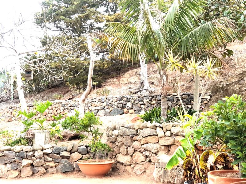 Foto 97c9bbe5-2ad0-4531-91e0-16e6b6fa0acb. Bauernhof mit parking in San Lorenzo Palmas de Gran Canaria (Las)