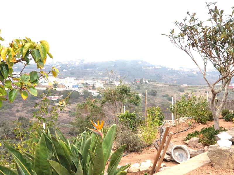 Foto af15c68c-dd4f-49aa-885e-d857f7697037. Bauernhof mit parking in San Lorenzo Palmas de Gran Canaria (Las)