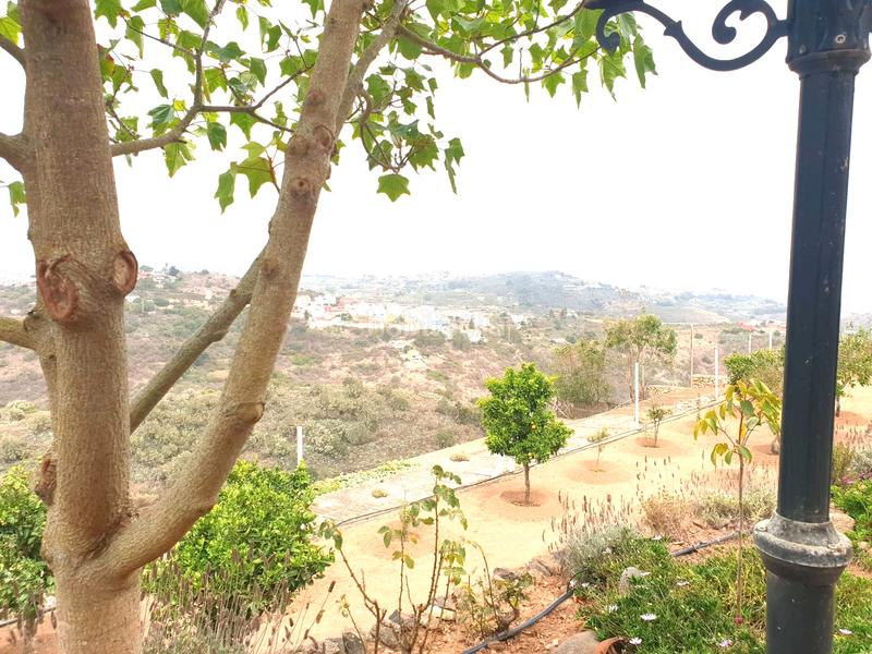 Foto e799f8d3-f5a5-4ba3-9873-1ee9d2699c83. Bauernhof mit parking in San Lorenzo Palmas de Gran Canaria (Las)