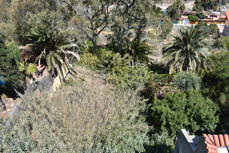 Foto 254e9473-ce77-4437-94ee-96250e9b67fa. Chalet with parking in Tafira Palmas de Gran Canaria (Las)