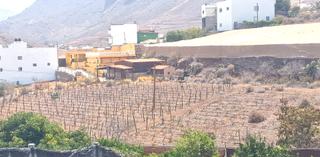 Xalet  Calle gómez. Chalet con terrenos de cultivo en la aldea
