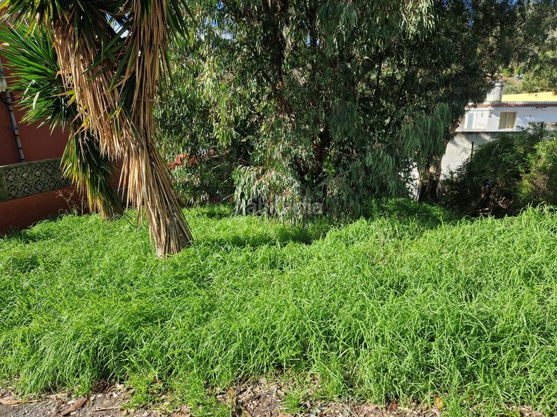 Foto 1d335845-40b1-4a08-ad41-d74b89a037a3. Terreny residencial a Monte Lentiscal - Las Meleguinas Santa Brígida