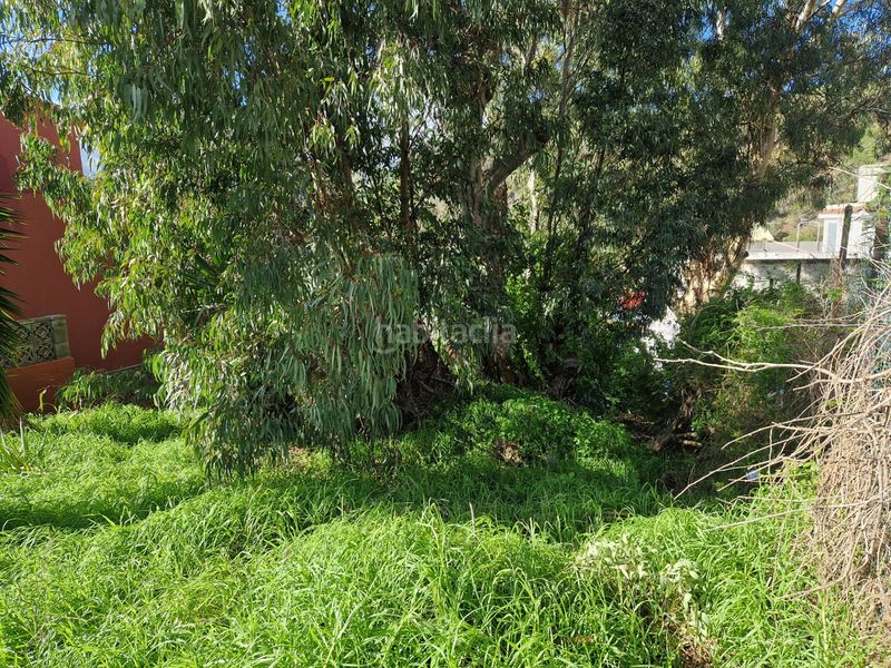 Foto 2b29fc37-5a33-4ec1-9660-1ad7d56063f6. Terreny residencial a Monte Lentiscal - Las Meleguinas Santa Brígida